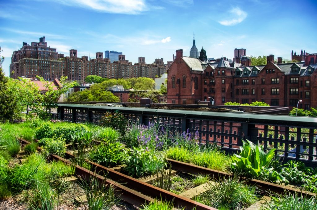 Green and blooming elevated park, The High Line in New York