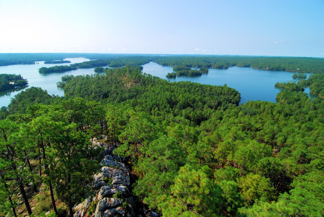 Views over trees to Lake Martin in Alabama. 