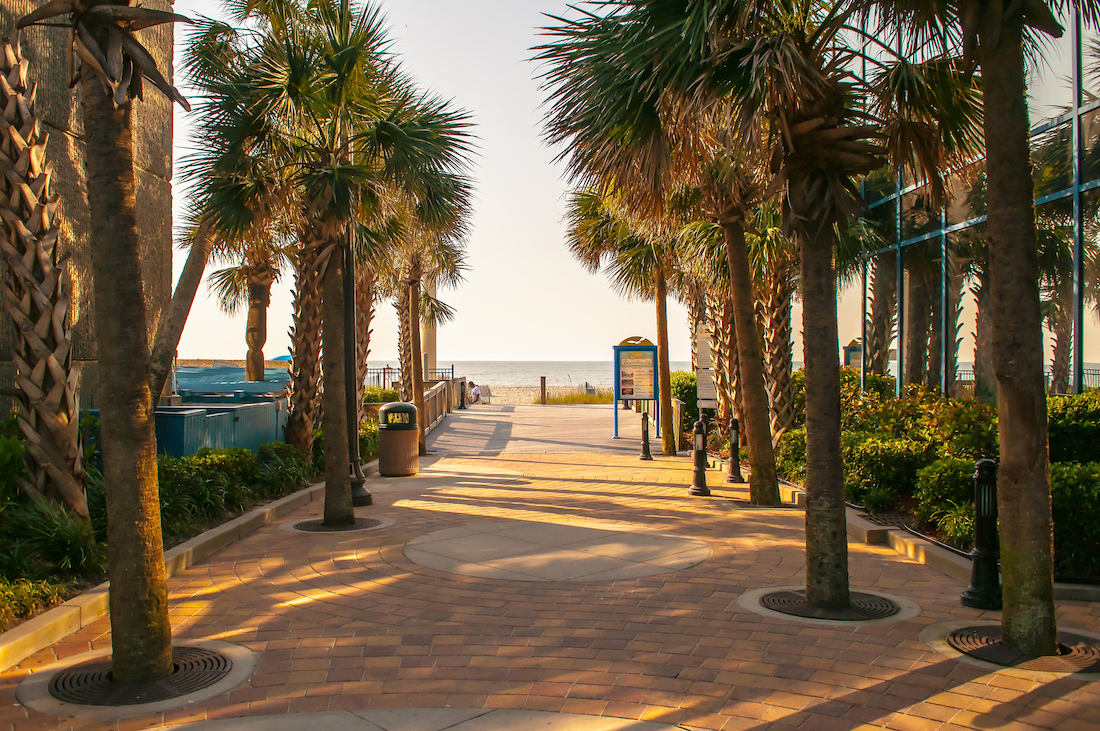 Palm tree alley at Myrtle Beach leading toward the sand