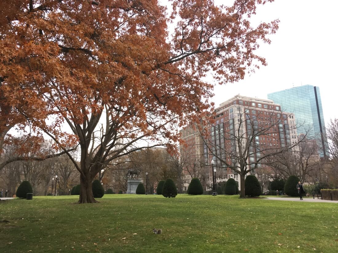 Boston Public Garden in autumn