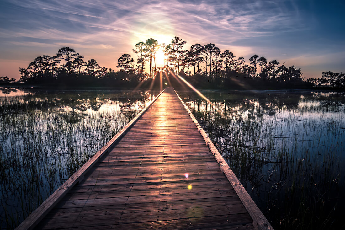 View down a boardwalk across calm water on Hunting Island in South Carolina as the sun sets behind palm trees 