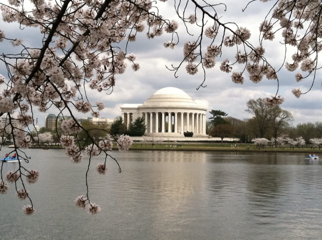 Jefferson Memorial and the Tidal Basin in Washington DC during cherry blossom season