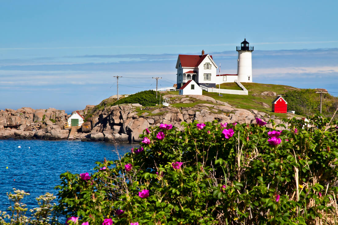 Nubble (Cape Neddick) lighthouse lies a few hundred feet away from the shore covered with beach roses on a summer day in Maine. The beacon is one of most photographed lighthouses in the country.