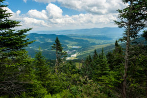 The top of the Mount Mansfield hike near Stowe Vermont with lush green forest and a blue sky with white clouds