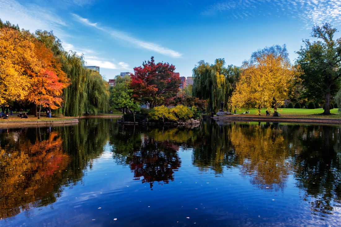 Photo of Pond in Boston Common Garden surrounded by trees in fall colors