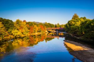 Striking blue river with fall color trees at Saco River Covered Bridge New Hampshire