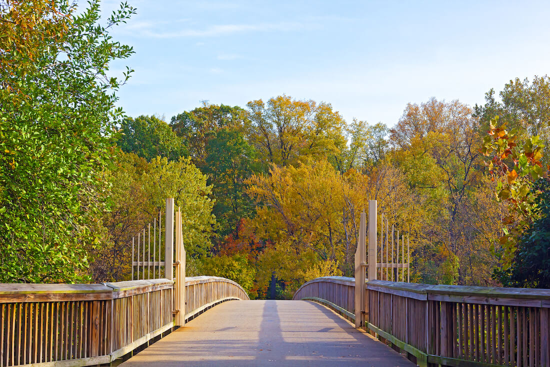 The wooden footpath bridge from Roslyn, Virginia, over to Theodore Roosevelt Island, surrounded by colorful trees in autumn in Washington DC