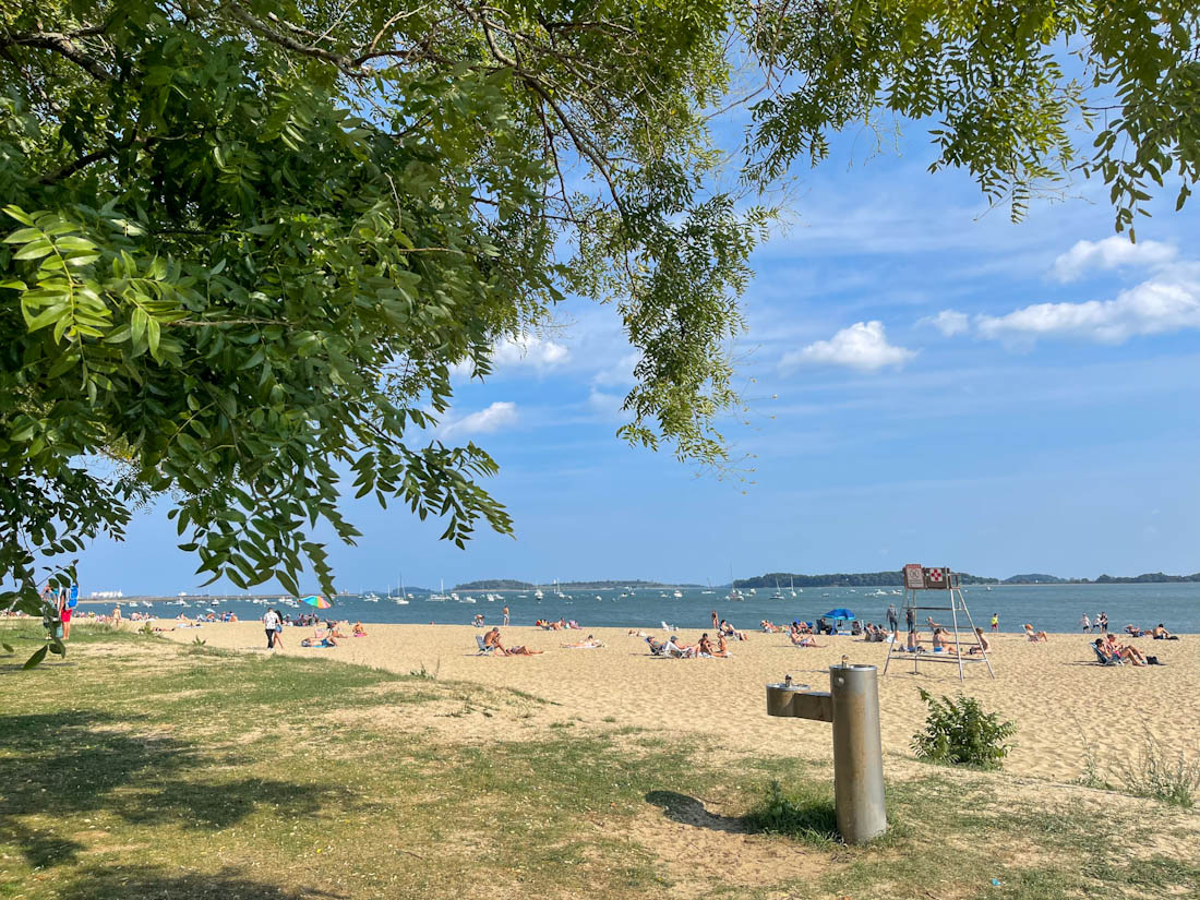 M Street Beach framed by tree at south in Boston Massachusetts