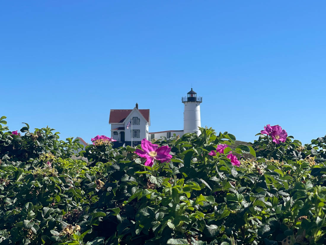 Nubble Lighthouse York framed by flowers Cape Neddick Maine faded