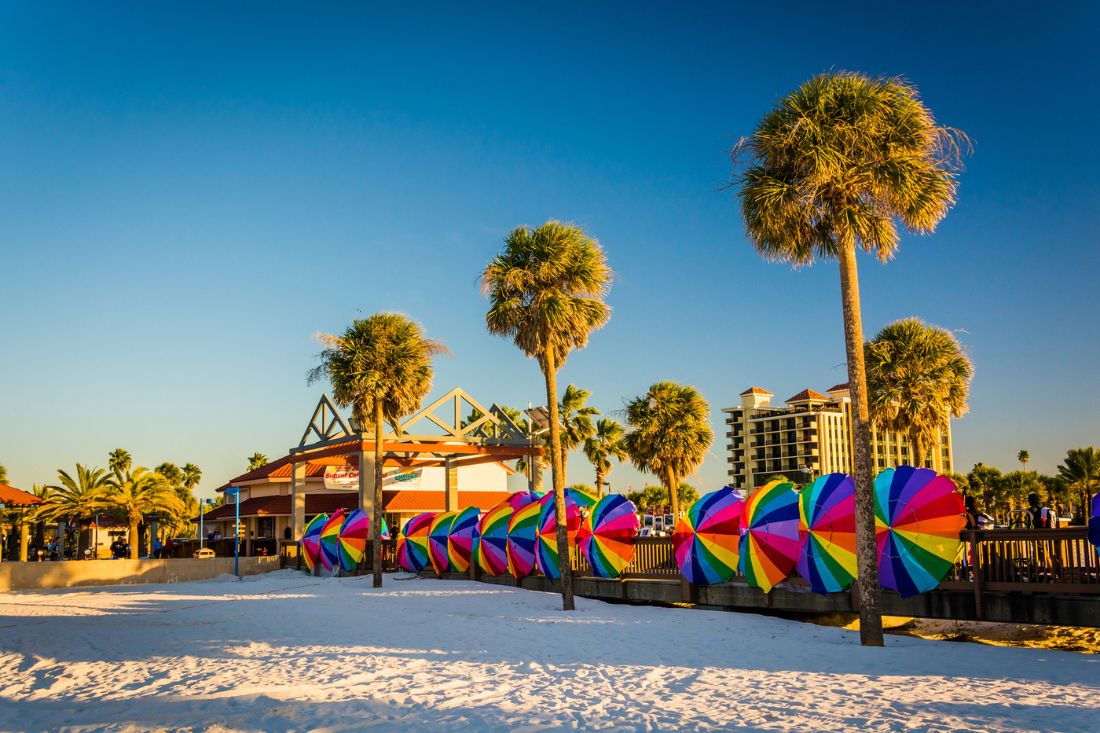 Palm trees and colorful umbrella at Clearwater Beach