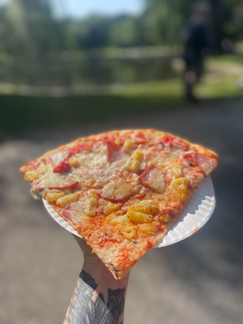 Pizza slice close-up