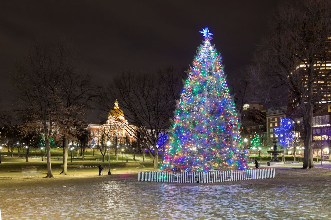 Christmas Tree with lights in the evening at Boston Common, MA