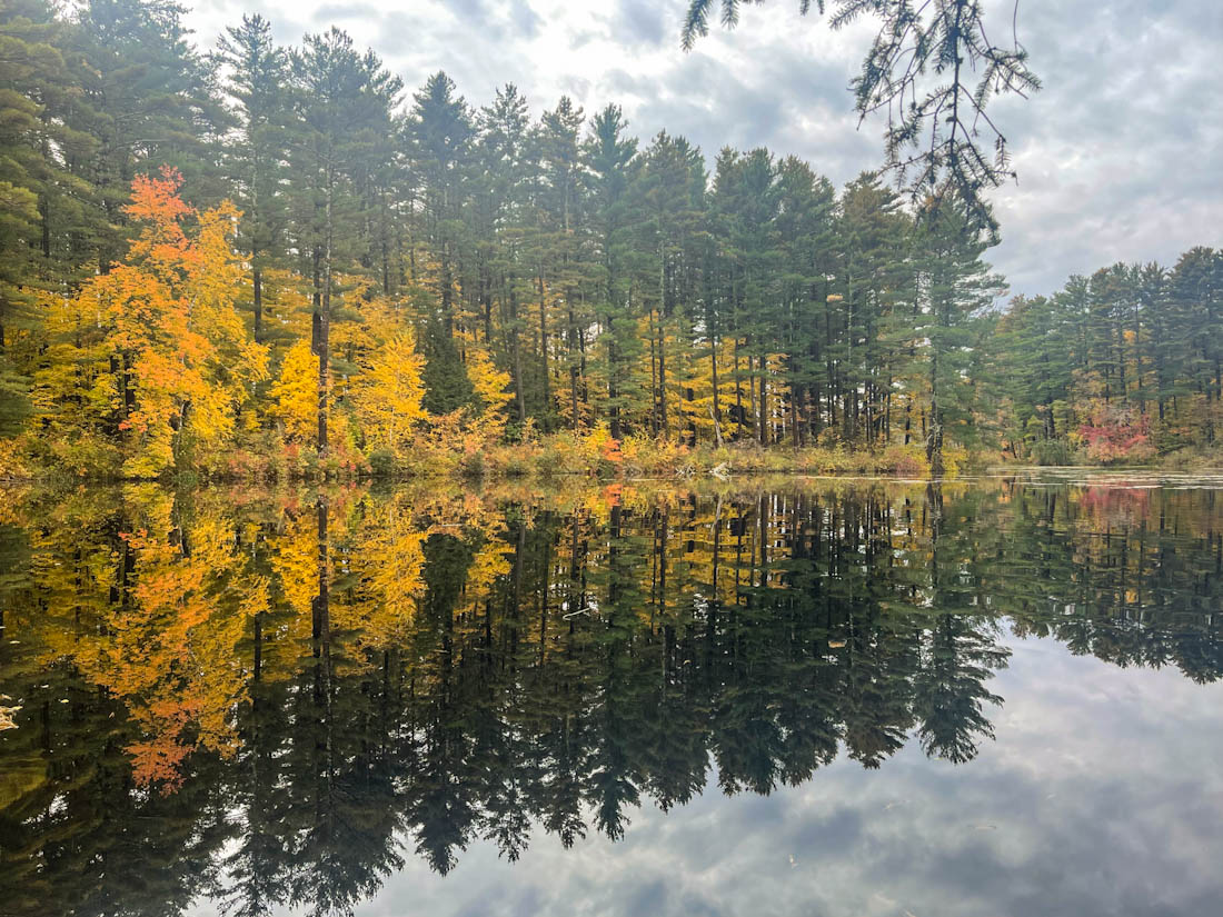 Fawn Lake, near Sheffield, Berkshire County, Massachusetts Moody