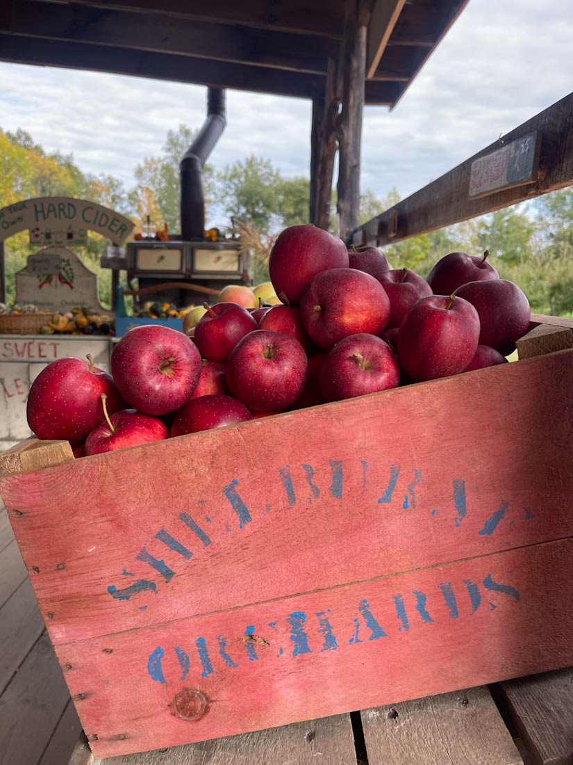 Shelburne Orchards Vermont apples