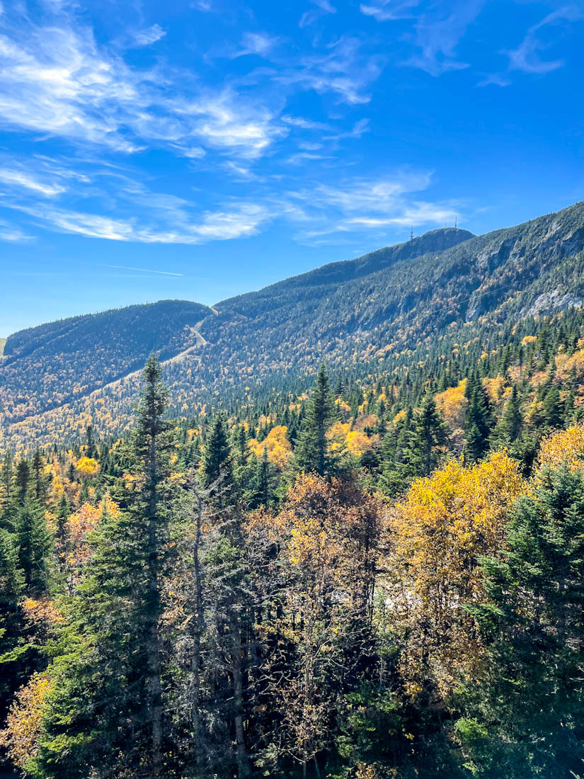 Stowe Mount Mansfield Fall colors Vern