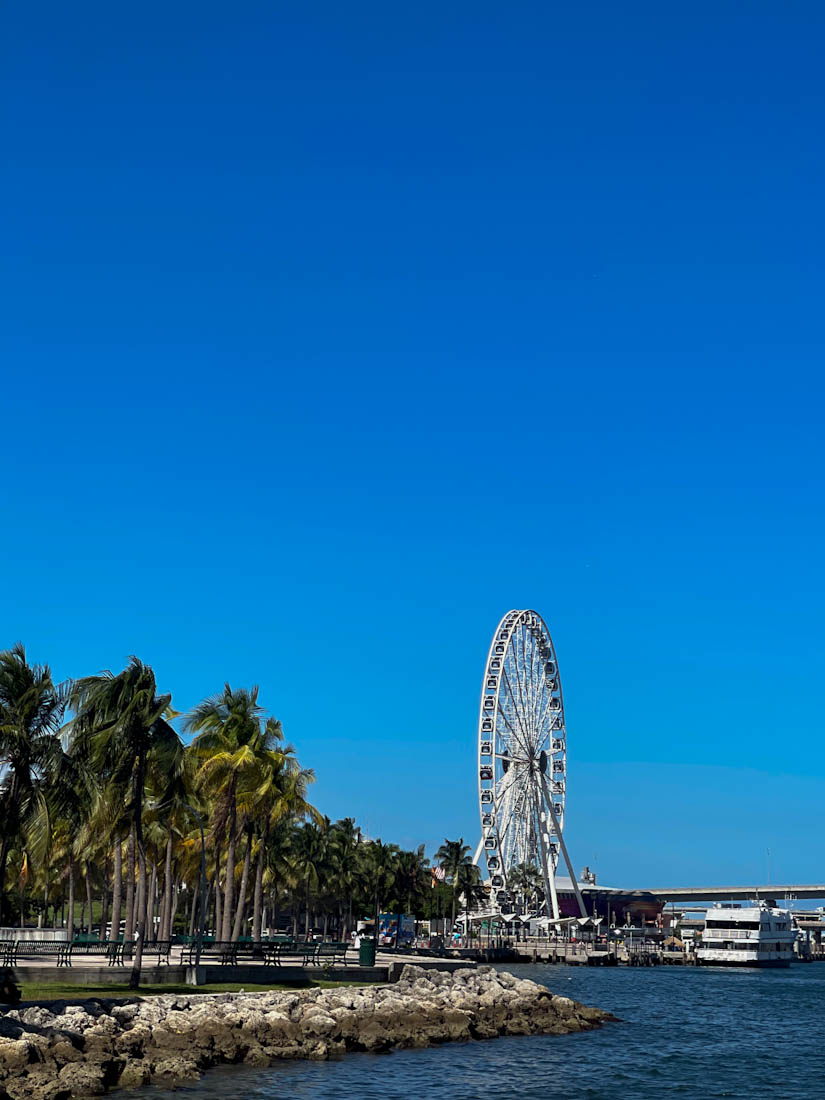 Bayfron Park with Skyviews Ferris wheel in distance Miami 
