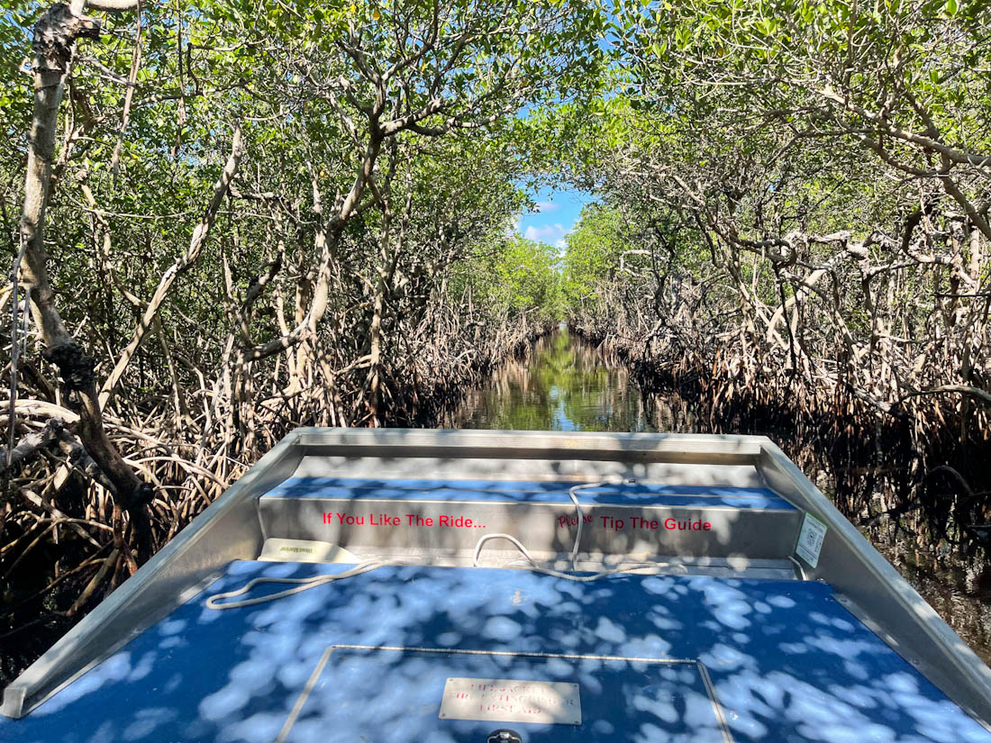 Boat on water Everglades Airboat Tours at Florida