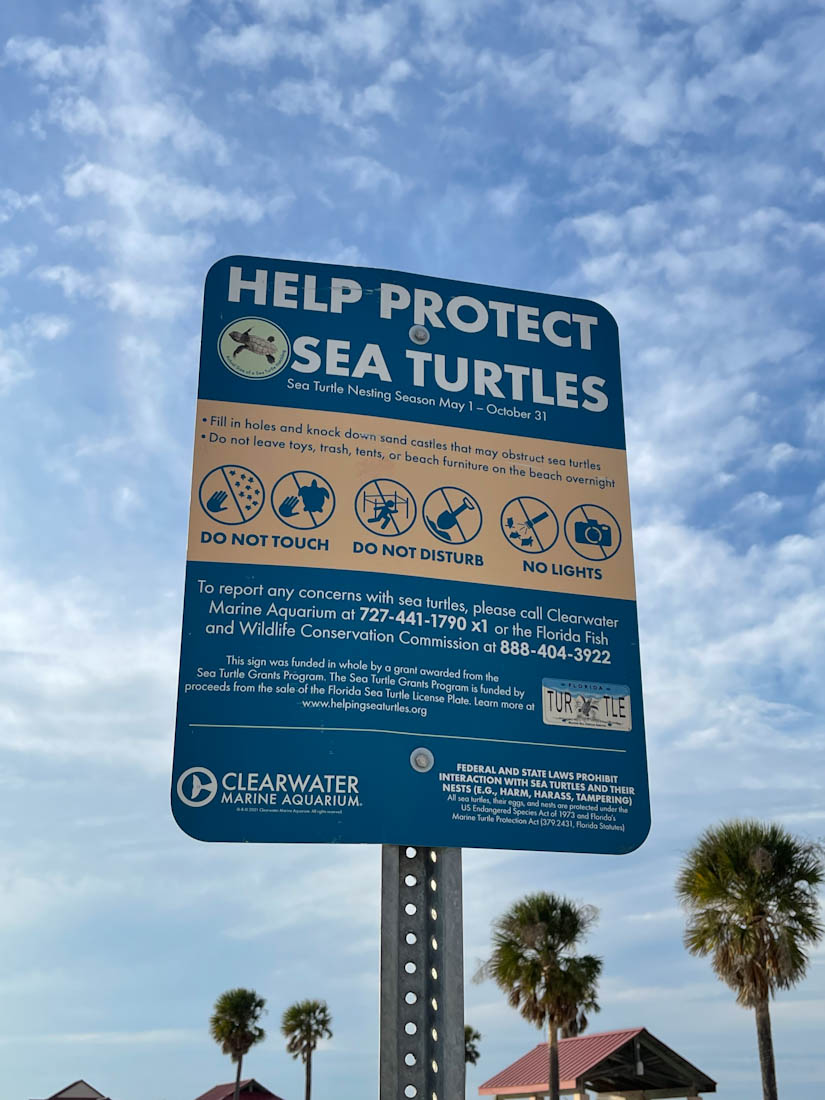Clearwater Beach Florida sea turtle sign