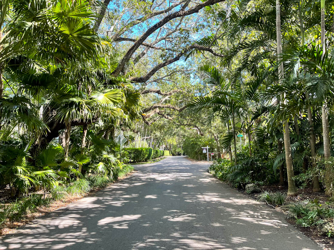 Coconut Grove street with trees Miami Florida