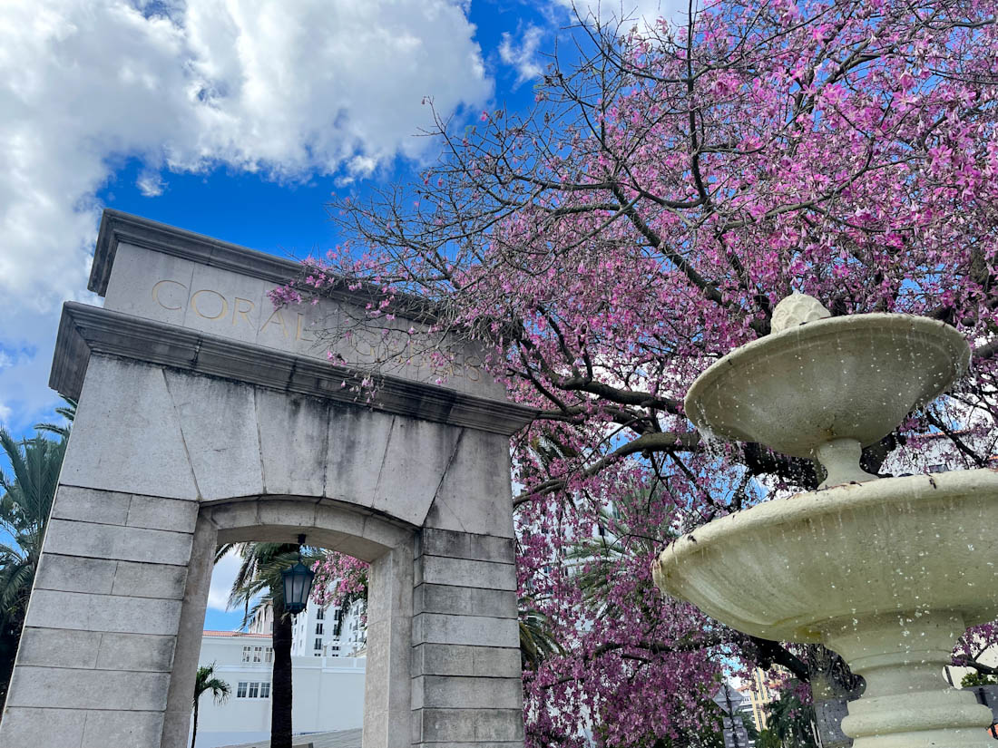 Coral Gables entrance arch with pink tree and fountain Miami Florida