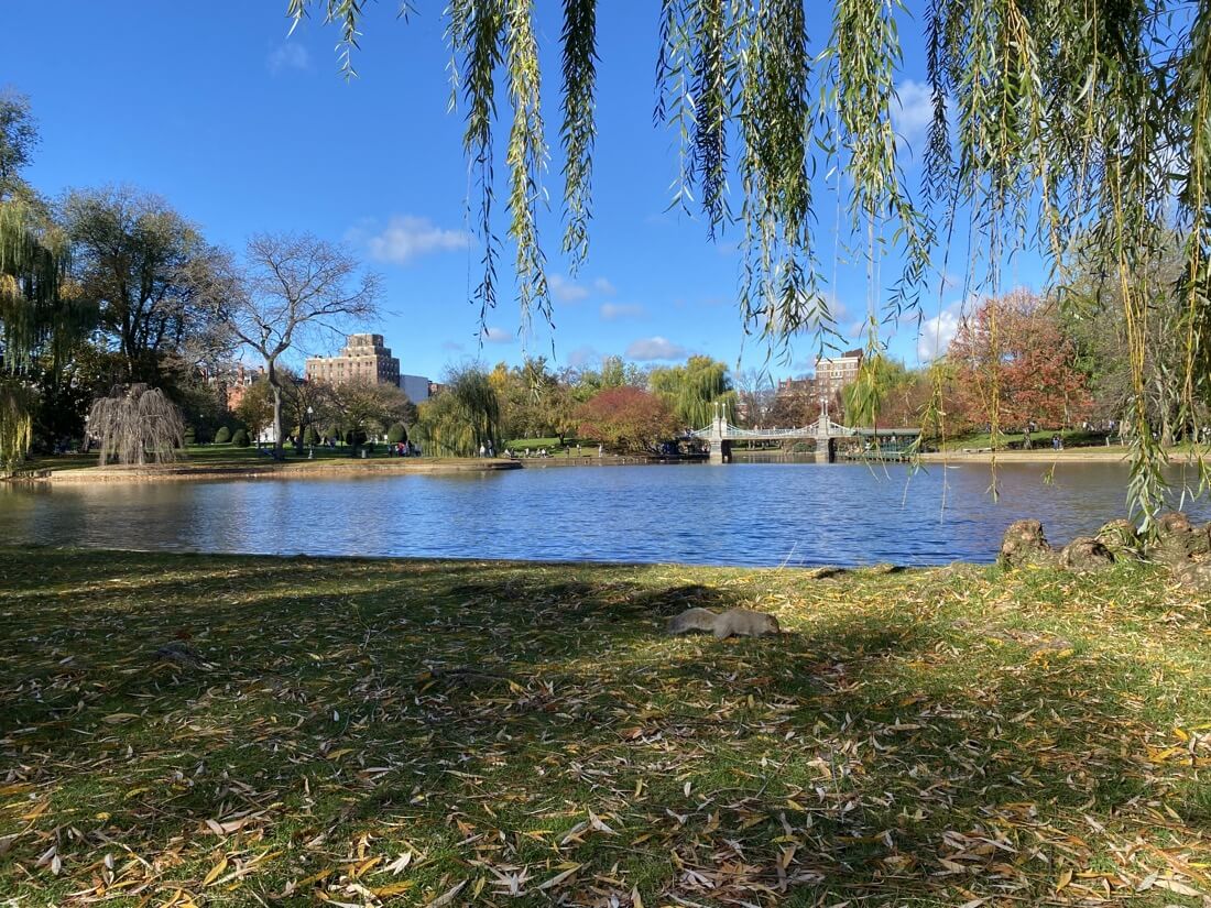Fall view of the Lagoon in the Boston Public Garden in Massachusetts