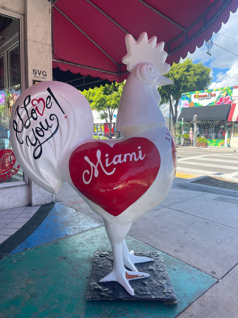 White rooster with I heart Miami Little Havana 