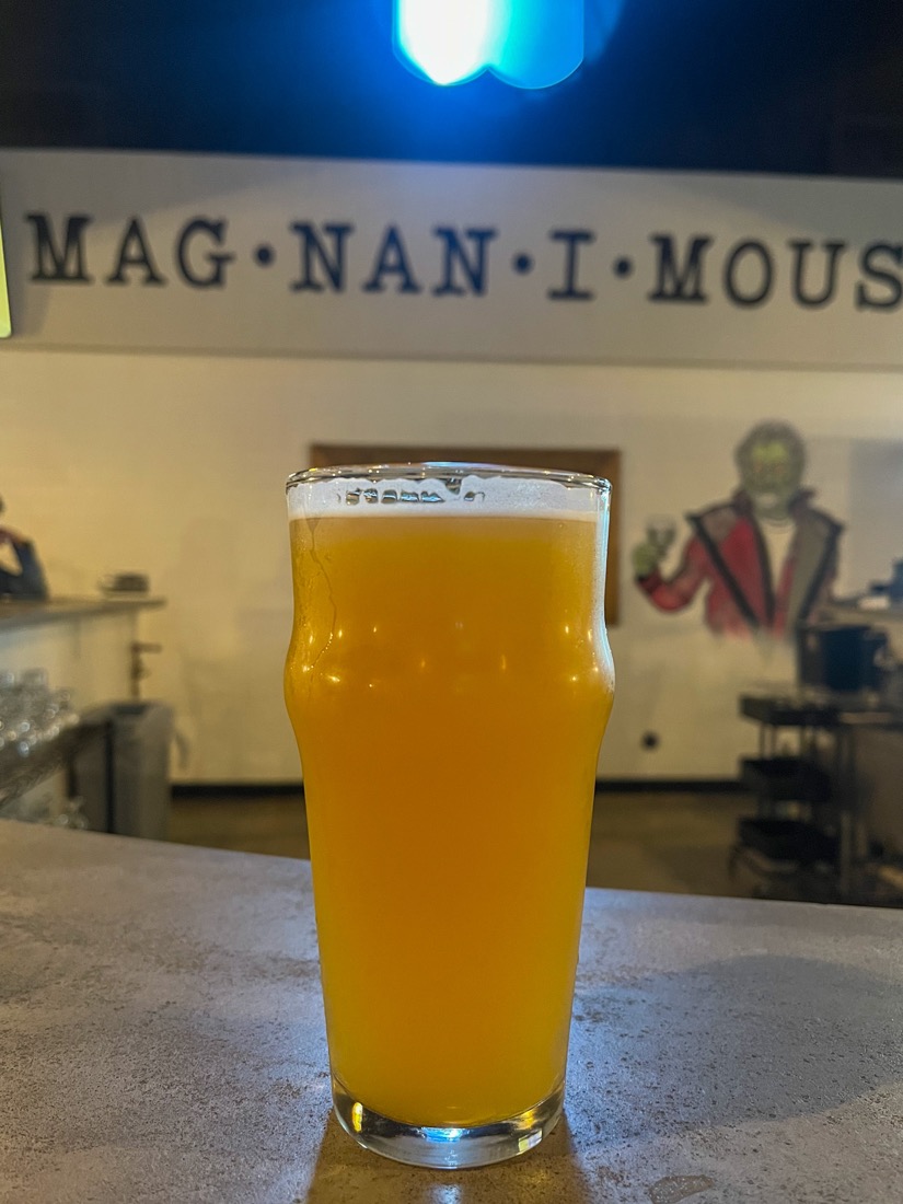 Pint of cider at Magnanimous Brewery Tampa
