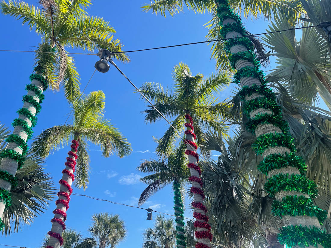 Palm tree Christmas decor St Pete Pier Tampa Florida