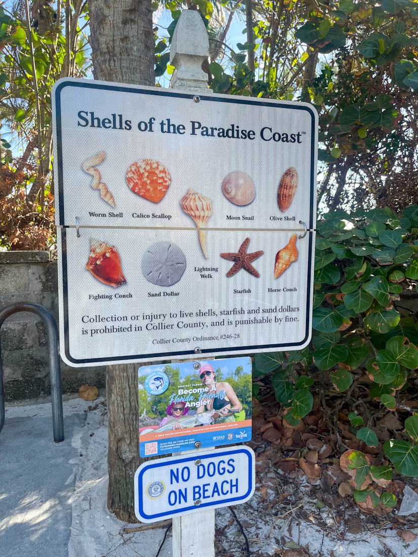 Shells on Paradise Coast sign Naples Florida