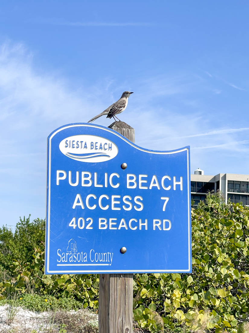 Siesta Beach Siesta Key Florida access 7 sign bird