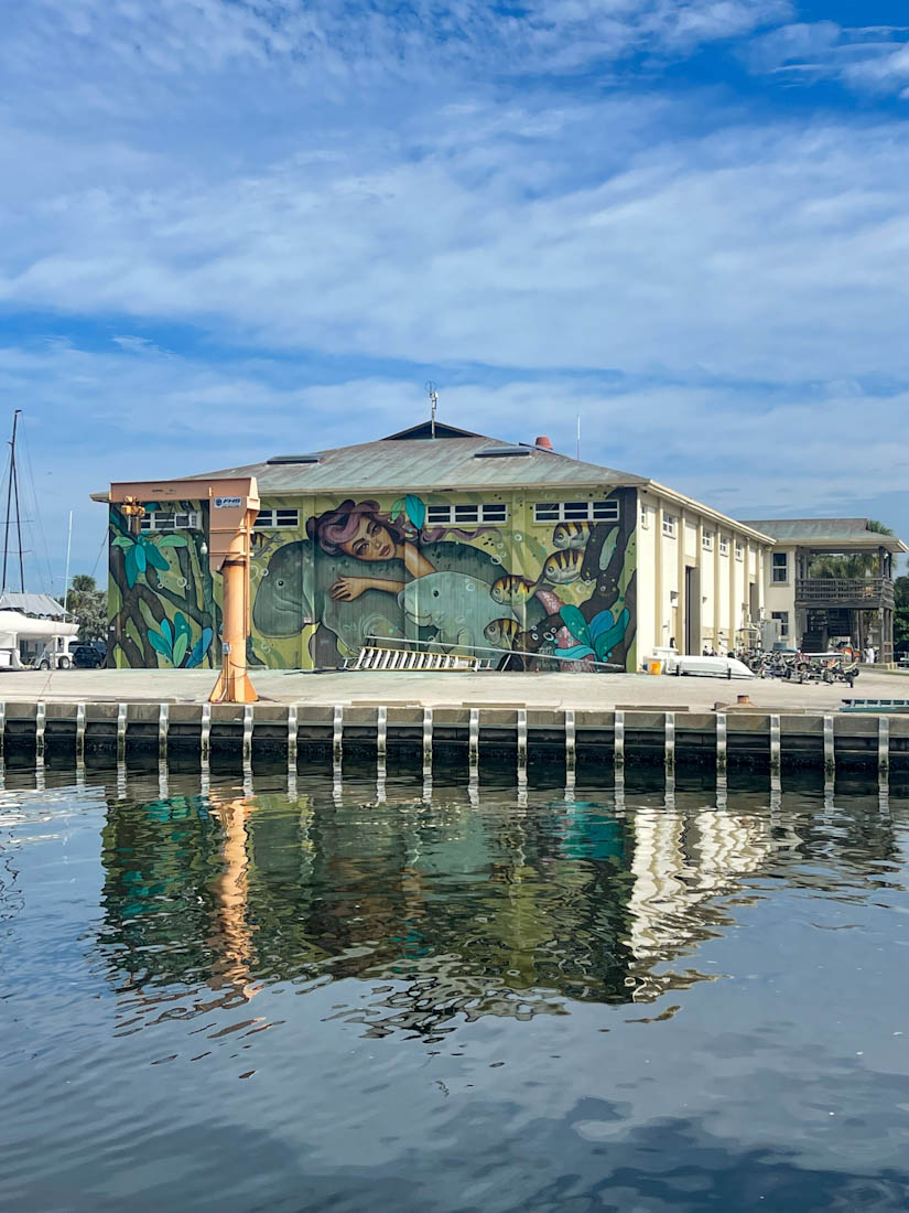Street art mural reflecting in water at St Pete Tampa Florida