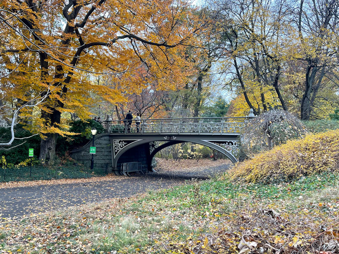 Bridge 24 Central Park NYC New York