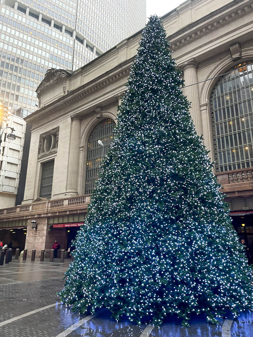 Christmas tree with lights outside Grand Central Terminal 