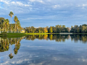 Reflections in Lake Rianhard Celebration Florida landscape