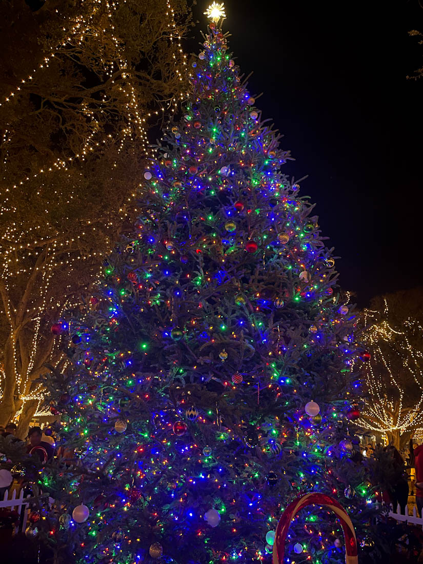 Night of Lights Christmas tree Revolution Plaza St Augustine Florida