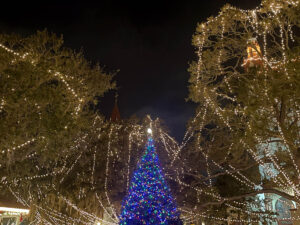 Night of Lights Revolution Plaza Christmas tree St Augustine Florida