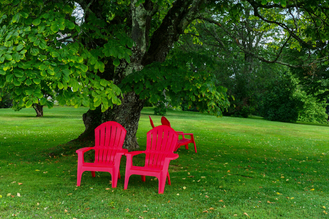 Norman Rockwell Museum outdoor area with red Adirondack chairs amidst the greenery