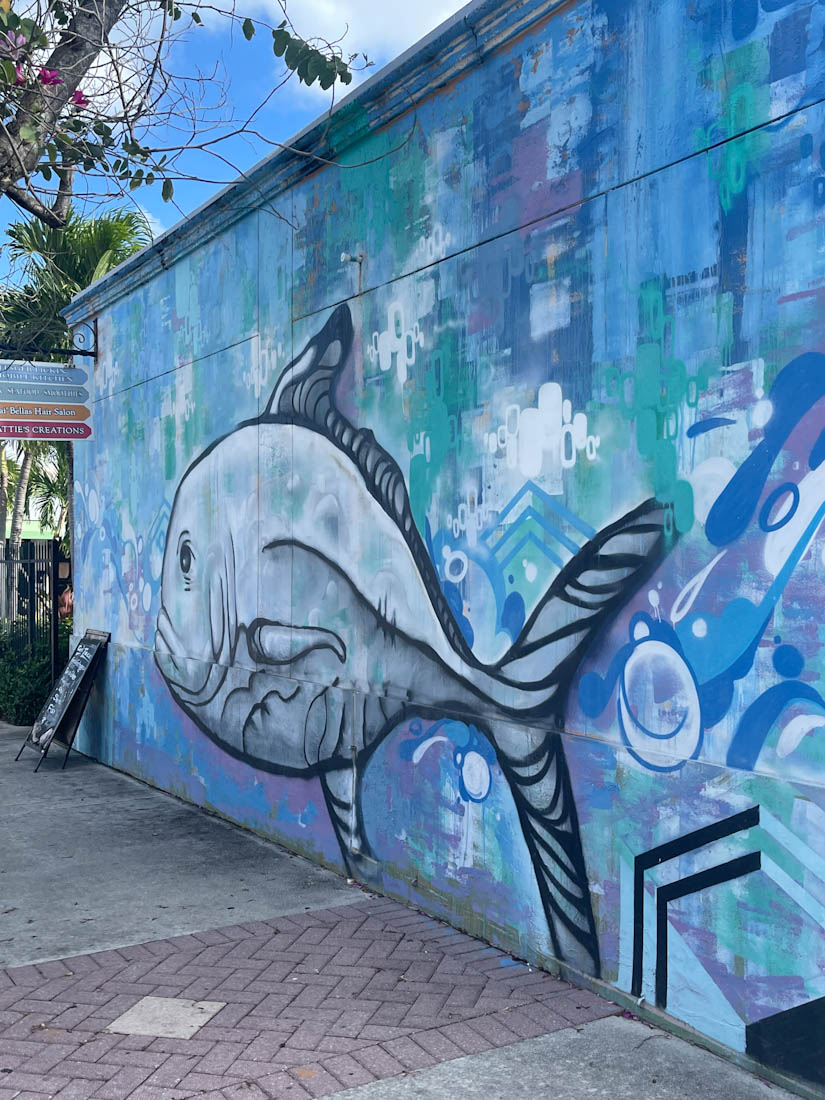 Street art fish Northwood Village, West Palm, Florida