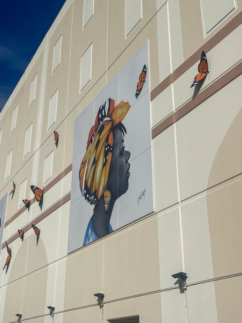 Woman with birds mural Artist Alley West Palm Beach, Florida