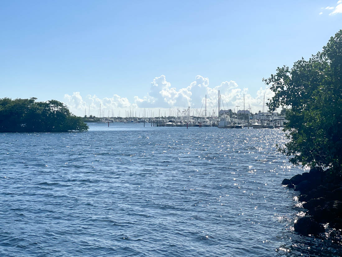 David T Kennedy Park views Coconut Grove Miami 