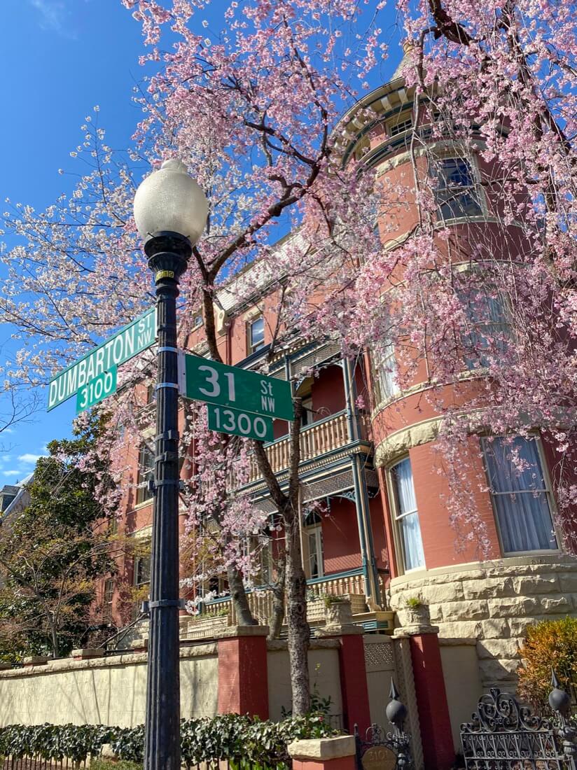 Dumbarton and 31st Street in Georgetown Washington DC in spring