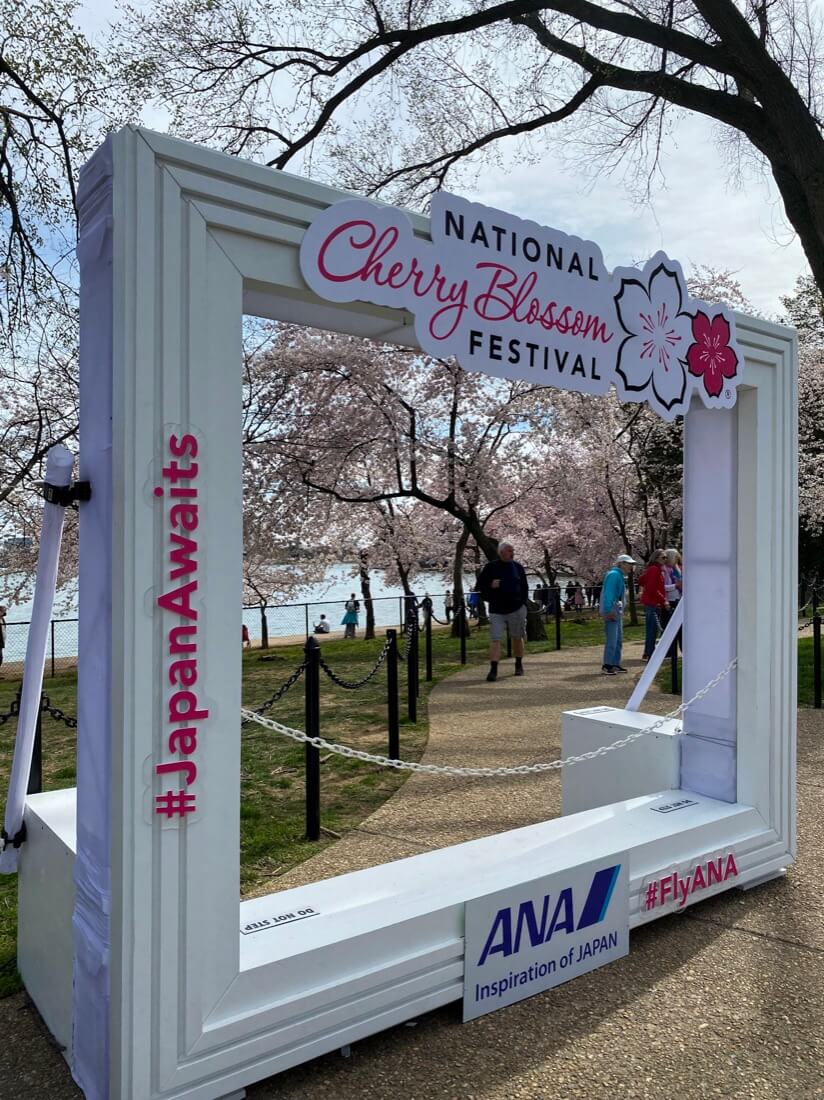 National Cherry Blossom Festival sign in Washington DC