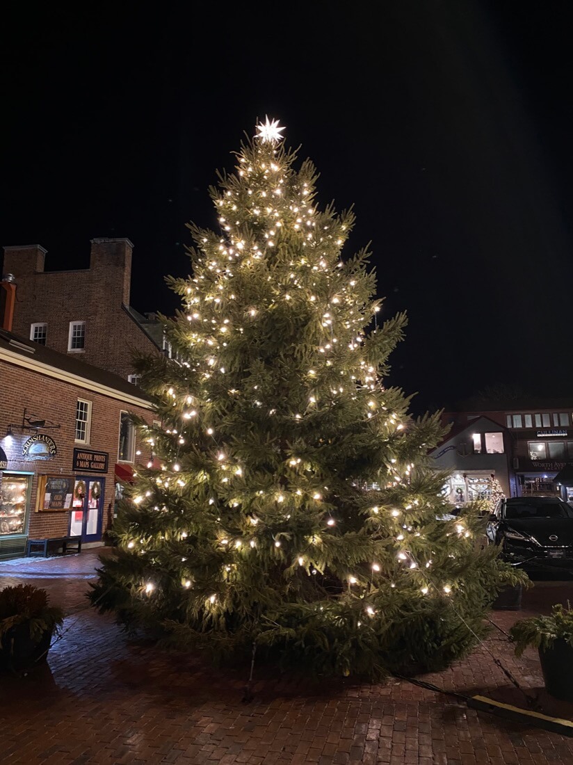 Bowens Wharf Christmas tree lit up at night in Newport Rhode Island