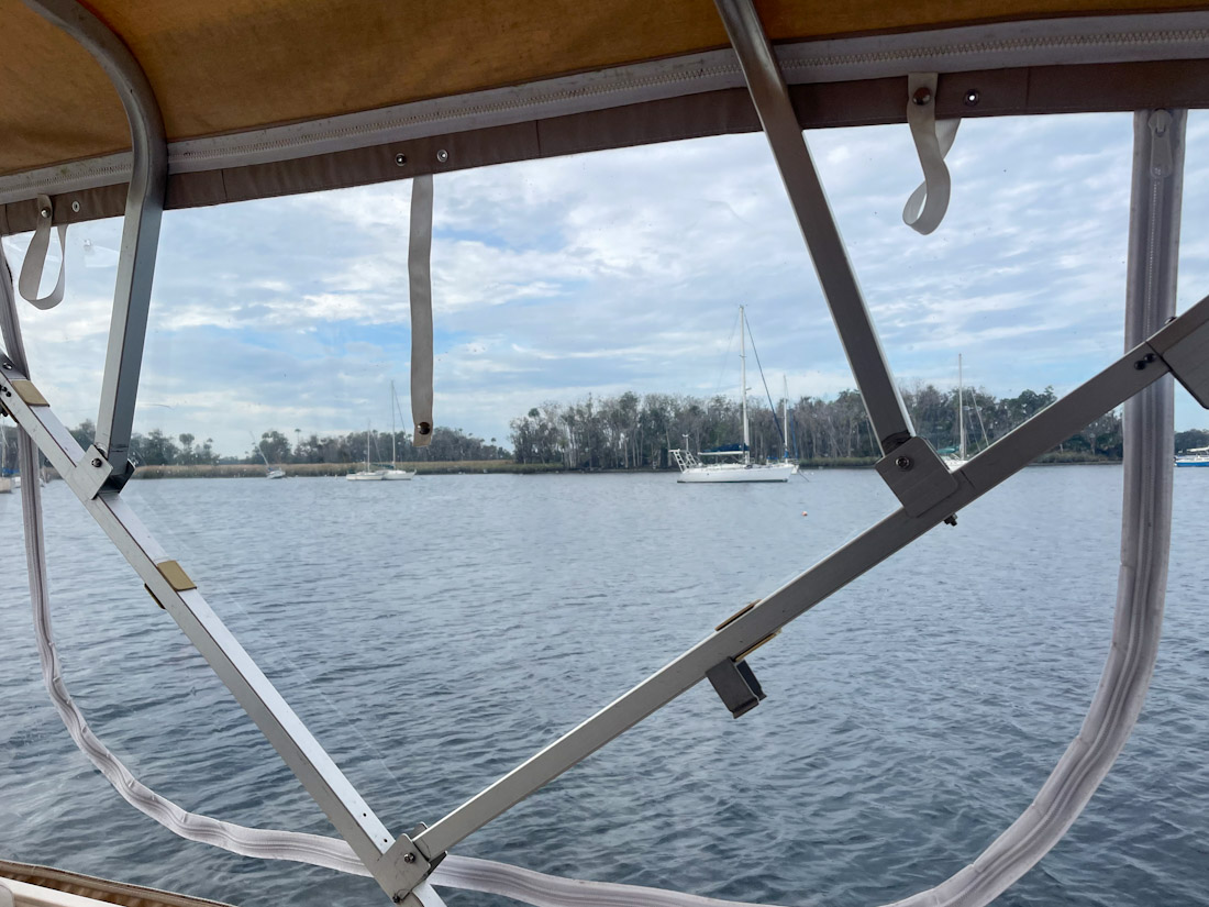 Manatees Tour boat views Crystal River Florida