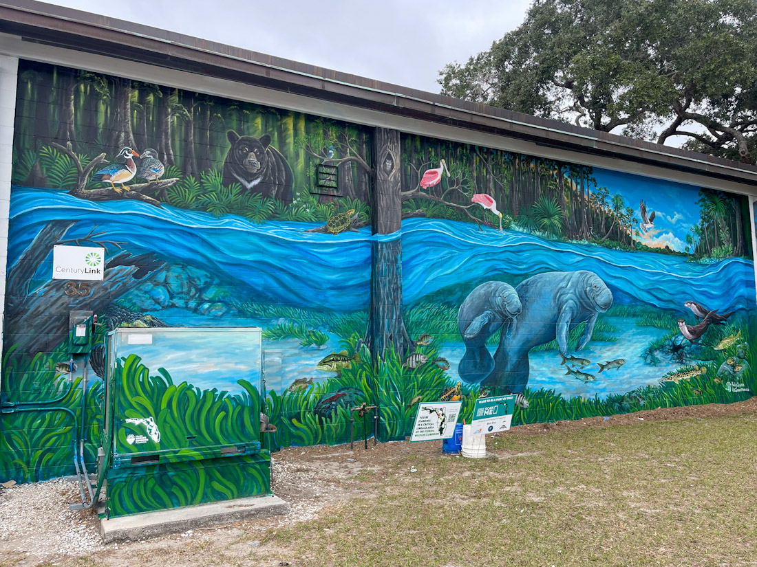 Marine life mural Crystal River Florida