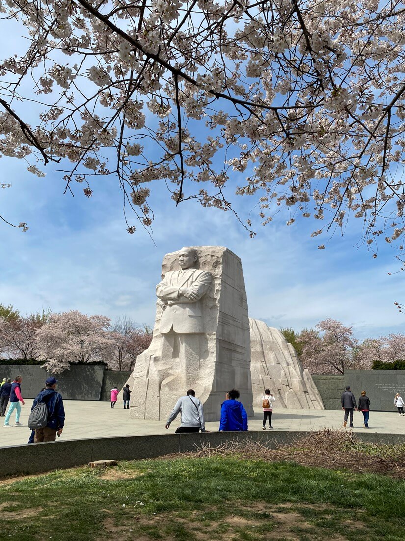 Martin Luther King Jr Memorial in Washington DC with cherry blossoms
