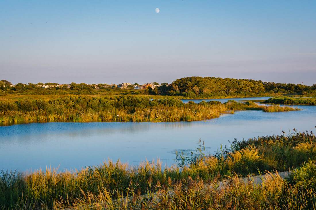 View of wetlands at South Cape May Meadows, in Cape May, New Jersey