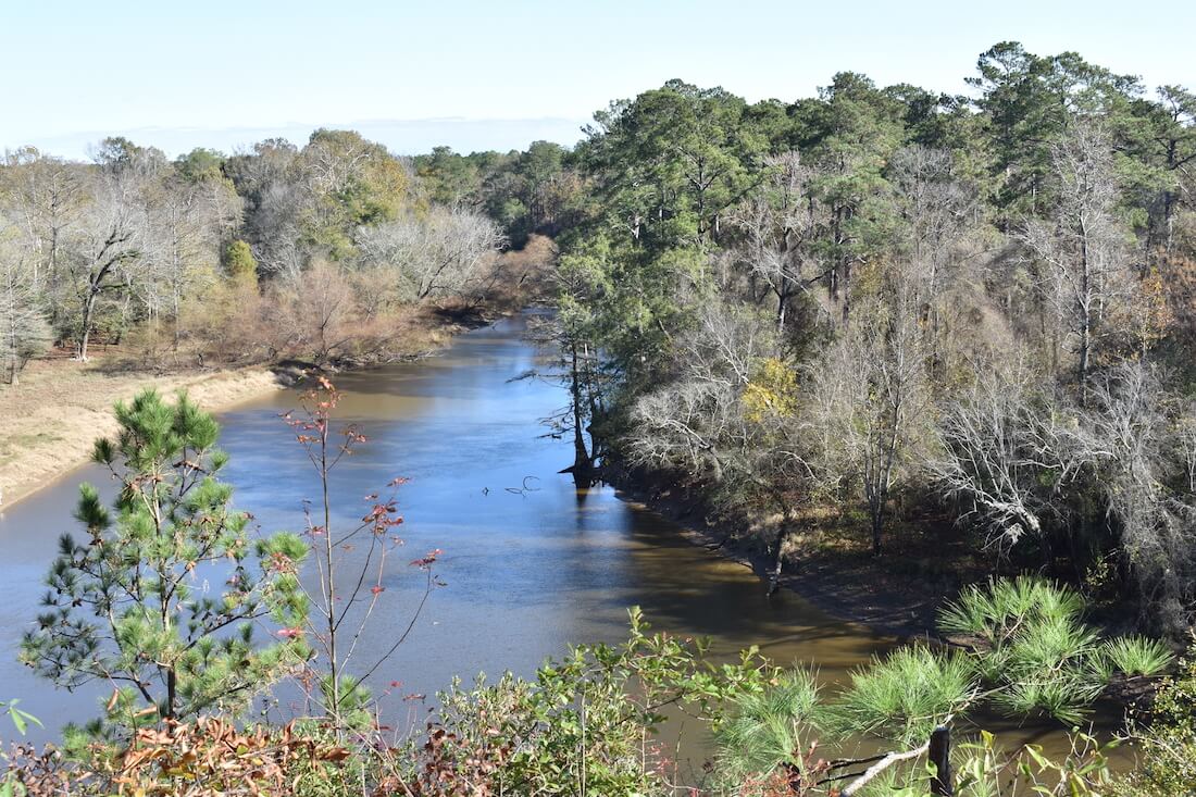 A Neuse River Overlook at Cliffs of the Neuse State Park near Goldsboro North Carolina
