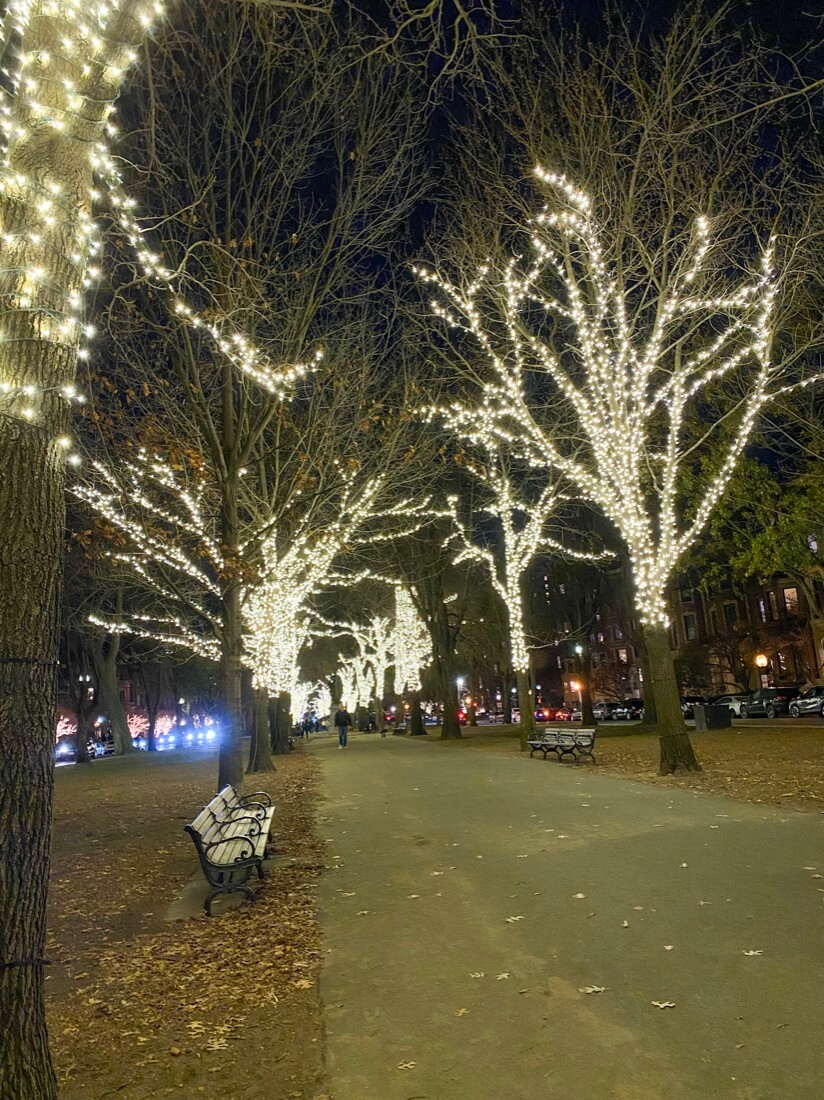 Commonwealth Ave Christmas lights Boston Massachusetts