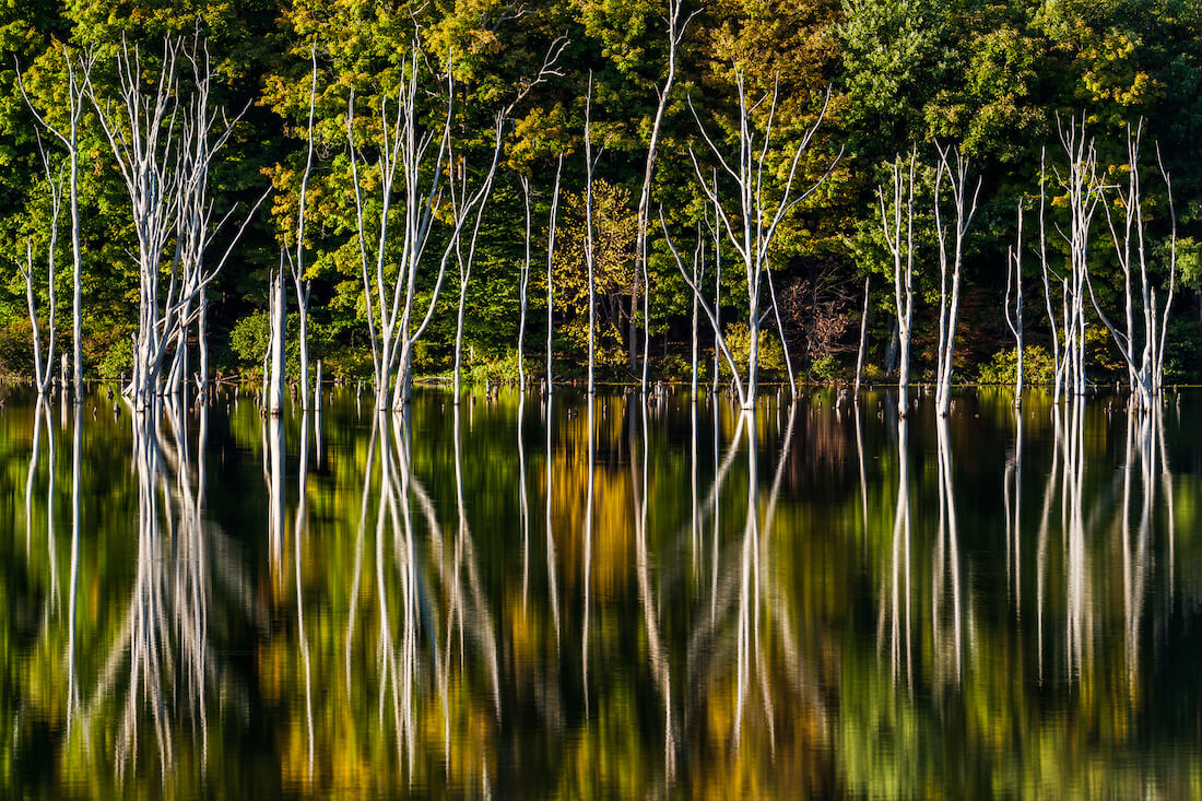 Reflections on the water in Long Pond Ironworks State Park New Jersey